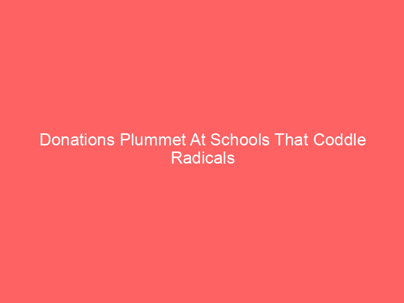 Donations Plummet At Schools That Coddle Radicals